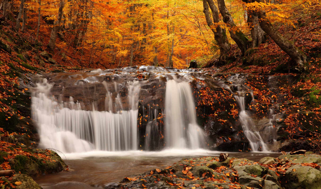 природа, лес, landscape, осень, листва, золотая, водопад, опавшие, ранняя, листопад