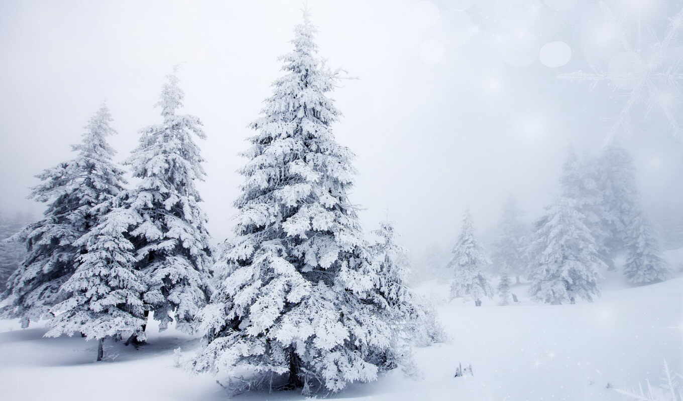 снег, winter, лес, christmas, салфетка, елка, декупаж