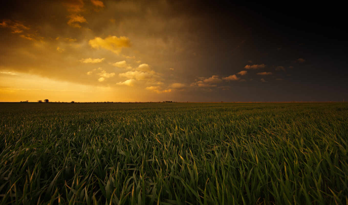 sunset, field, landscape