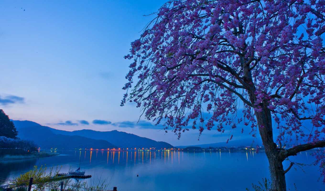 озеро, japanese, утро