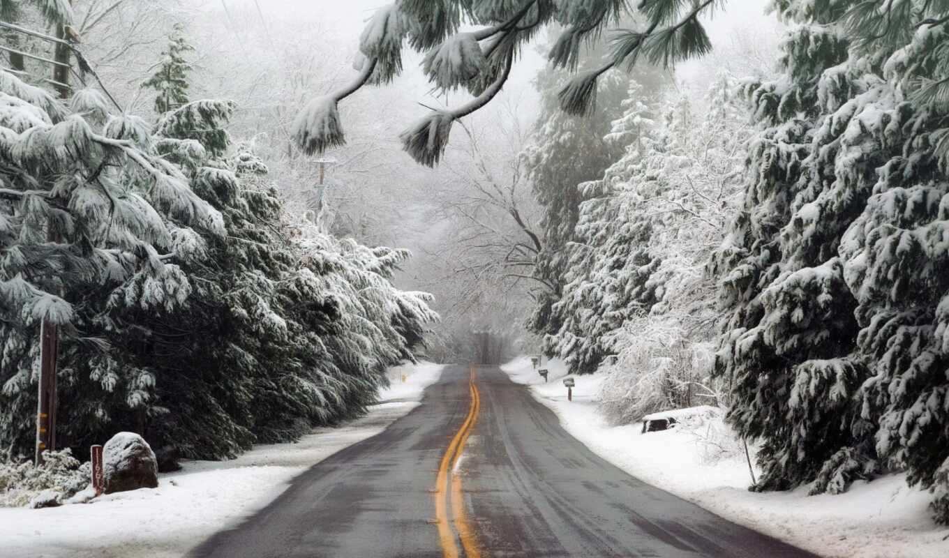snow, winter, road, fog, fore