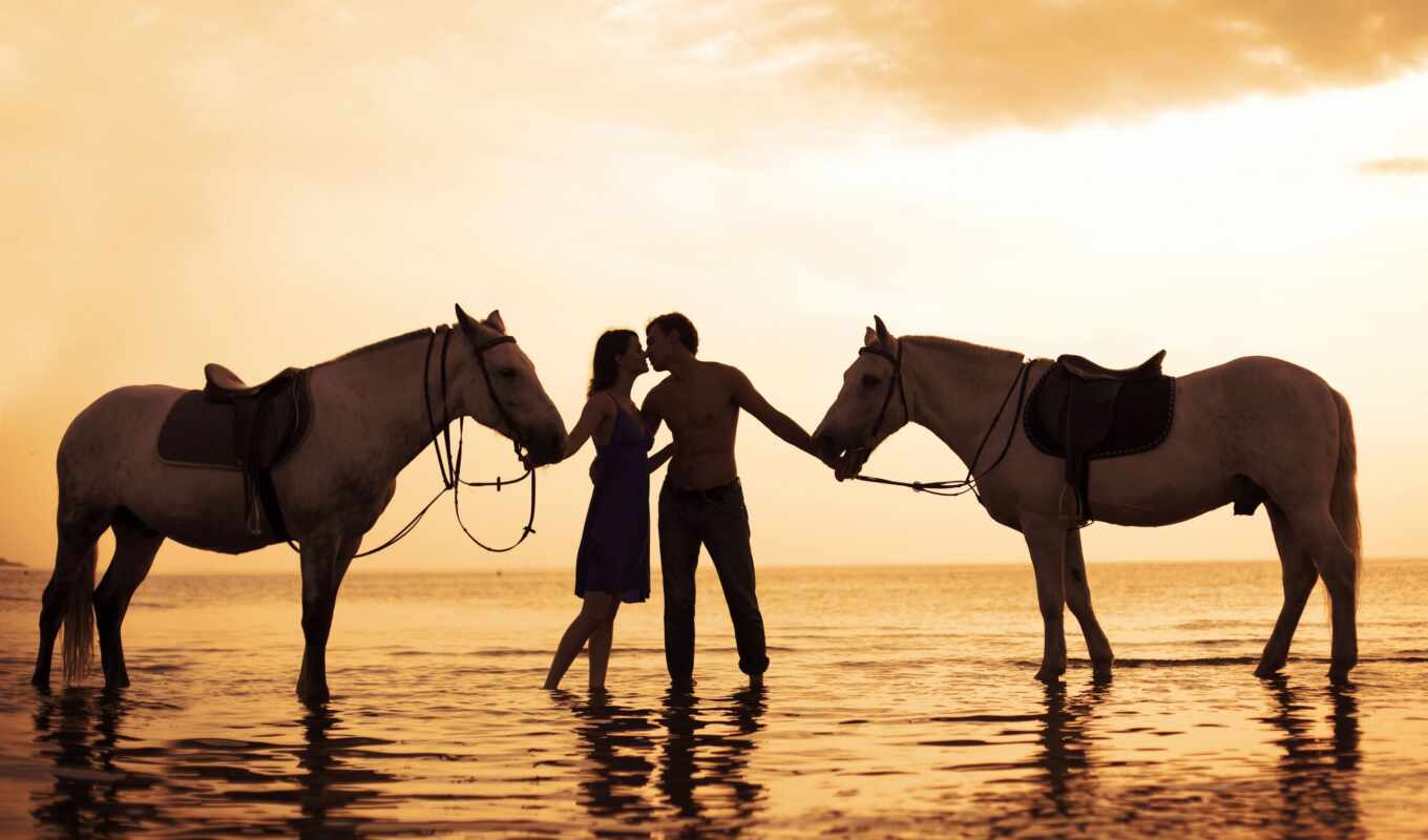 girl, sunset, guy, sea, seas, horses, upper, pair, relationship, horses, walk