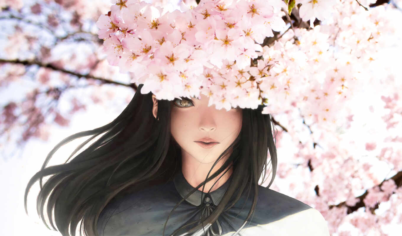 girl, anime, petals, Sakura, cherry, animations