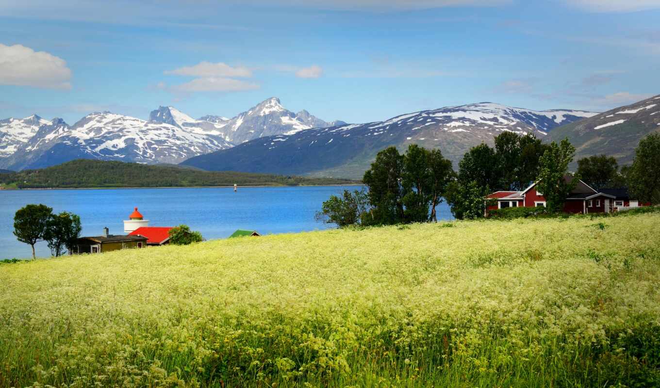 фон, гора, поле, scenery, норвегия, norwegian