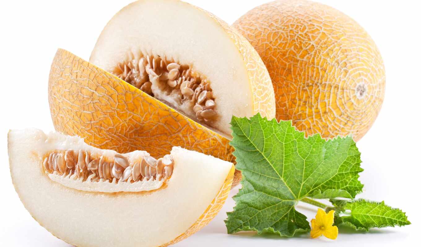 health, the benefit, malone, extra, aromatic, muskmelon