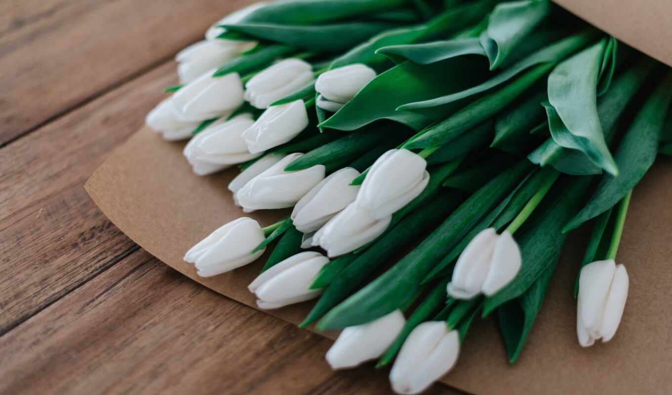 цветы, white, gallery, день, весна, букет, тюльпан, square, rare, похороны