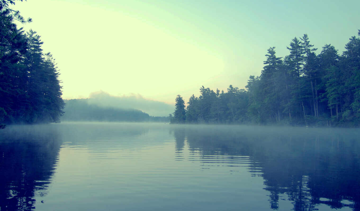 lake, nature, tree, forest, presentation, river, fog, mist, fade, fore