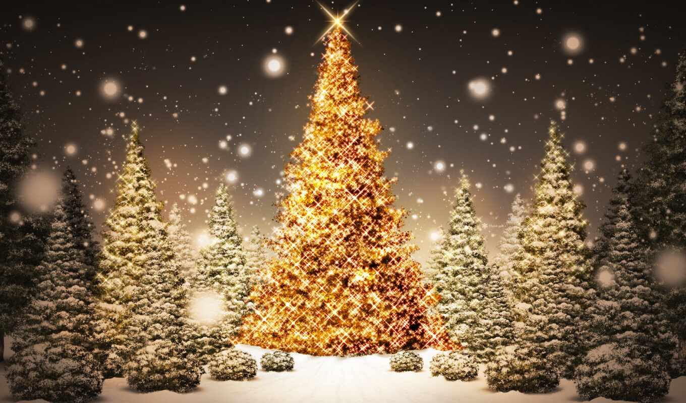 christmas, magic, tree, krajobraz, świąteczny
