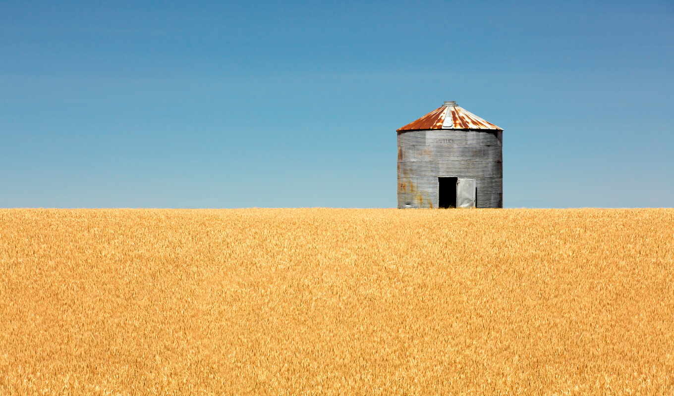 небо, зерно, photos, тодд, бин, agriculture, монтана, пшеница, empty, классы
