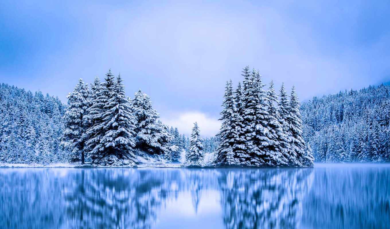 озеро, дерево, winter