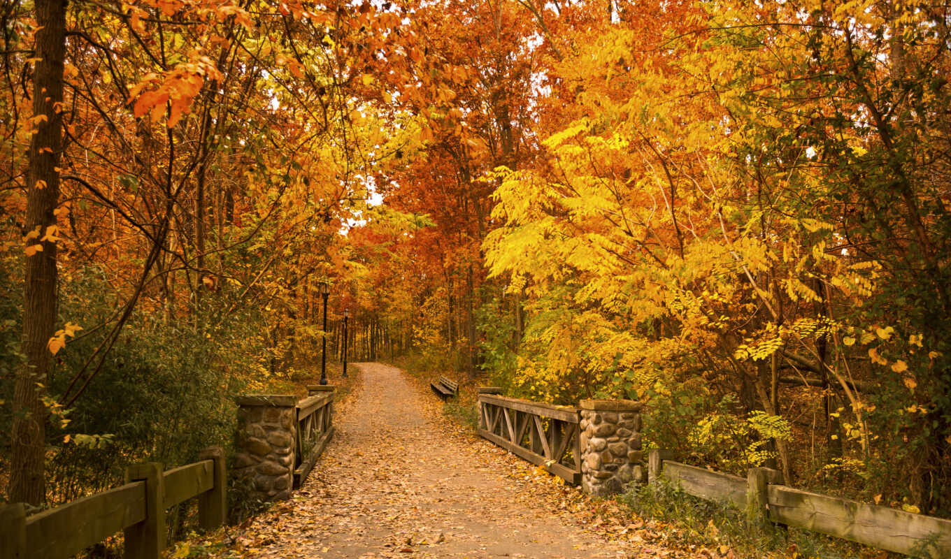 wall, autumn, landscape