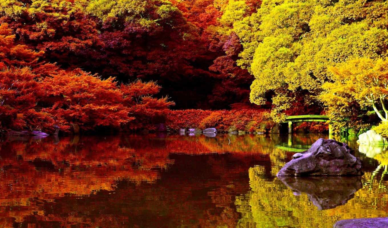озеро, природа, картинка, высокого, landscape, осень, trees, разрешения, красиво