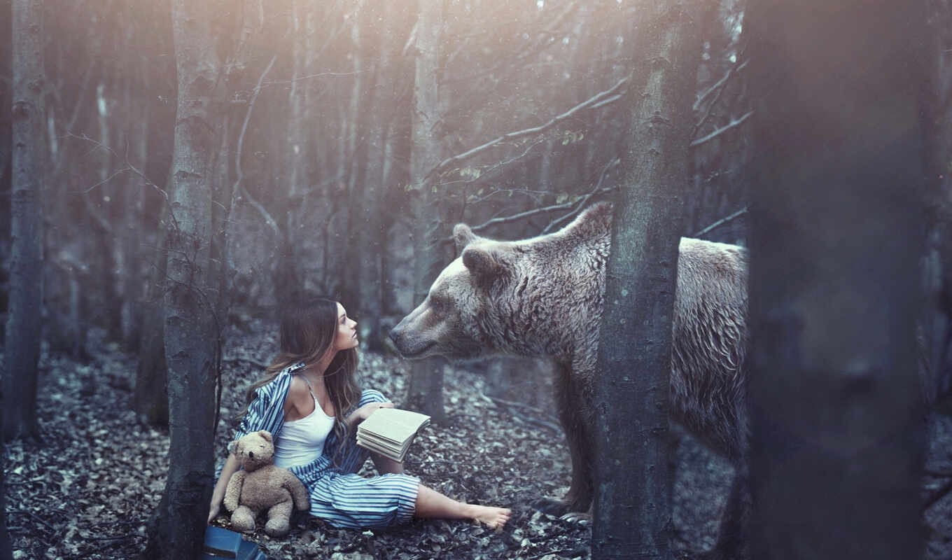 more, girl, book, picture, forest, bear, read, pinterest, books, bear