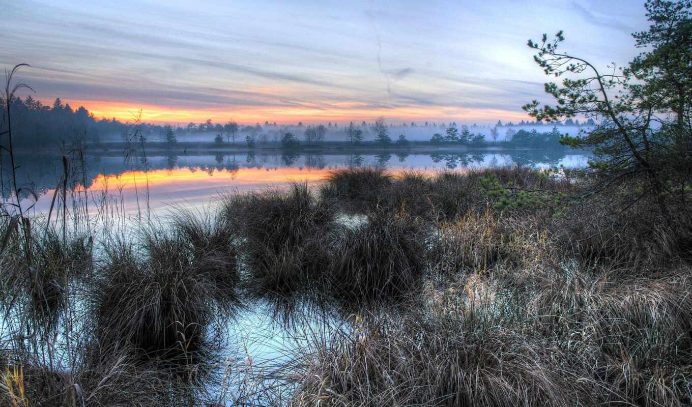 lake, nature