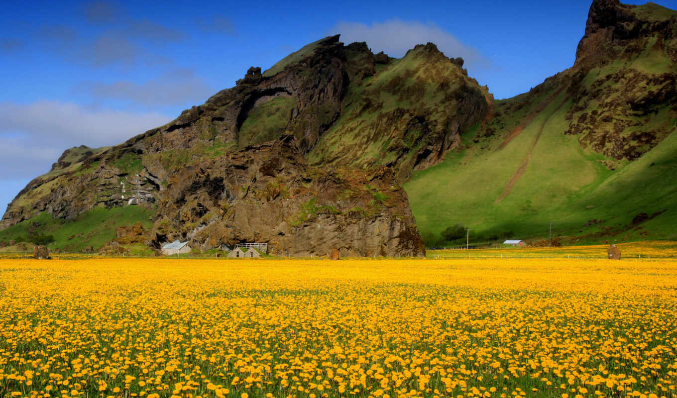 горы, небо, цветы, поле, amazing, photos, nature, flowers, одуванчики, желтые, scenes, долина, spring