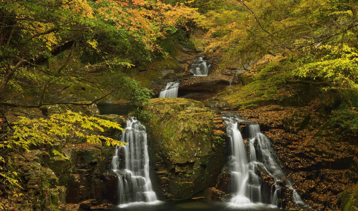 nature, wall, stone, forest, autumn, moss, waterfall, creek, fore
