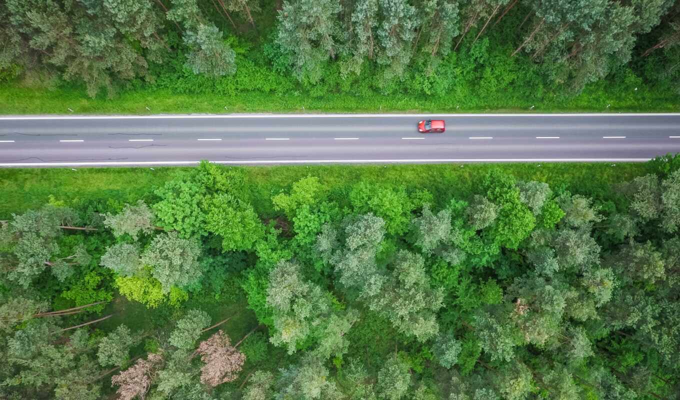 nature, photo, view, road, car, aerial, transport, perspective, wood, fore