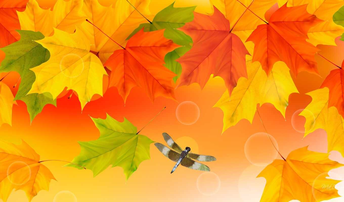 autumn, beautiful, art, funart