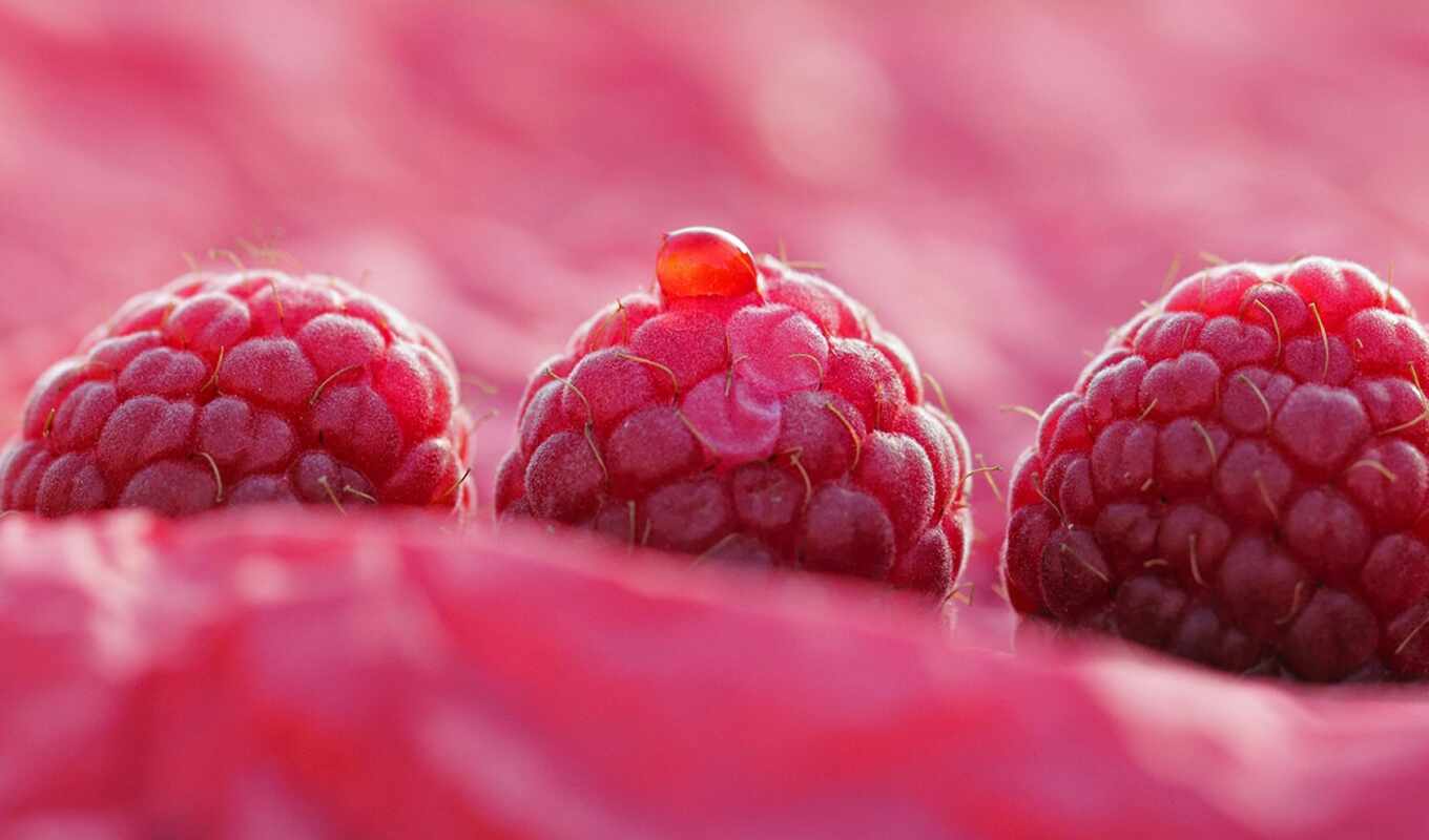 raspberry, composition, r-gle