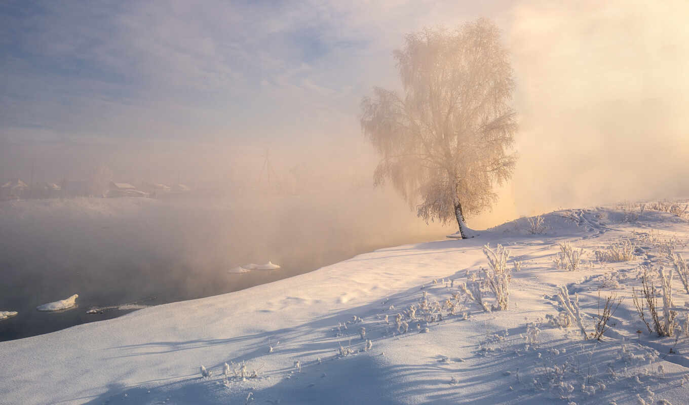 lake, photographer, light, snow, winter, altai, blizzard, birch tree, dr