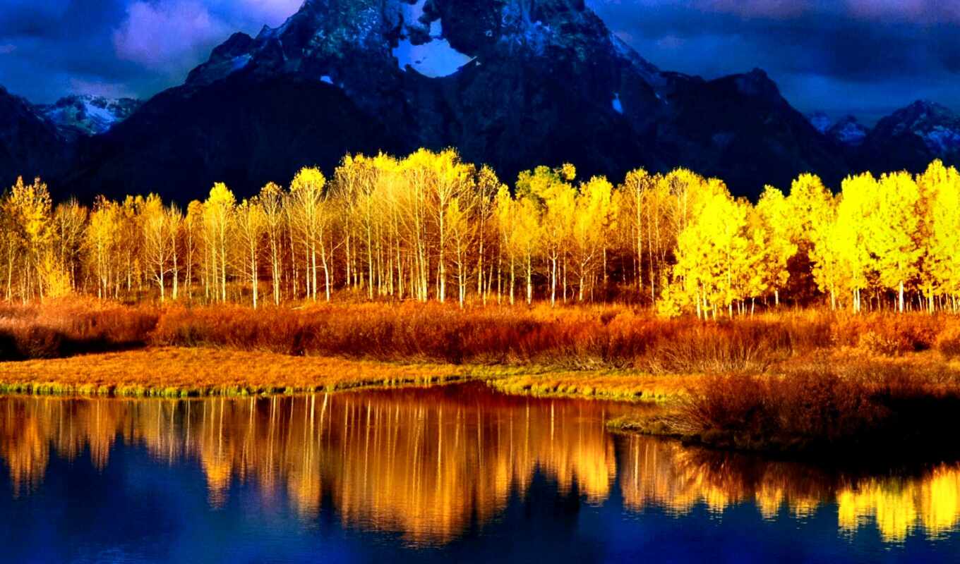 природа, года, осень, rally, yellow