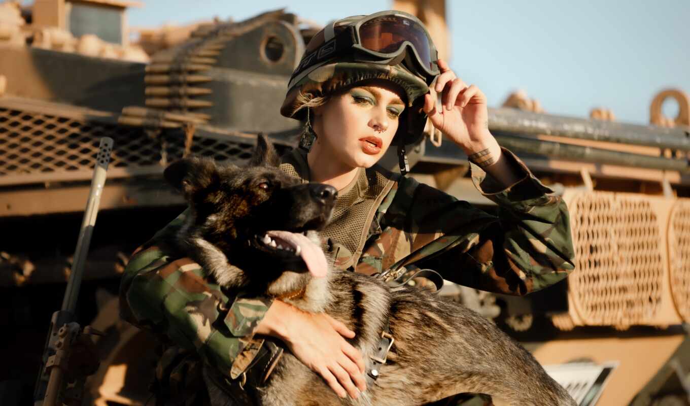 собака, солдат