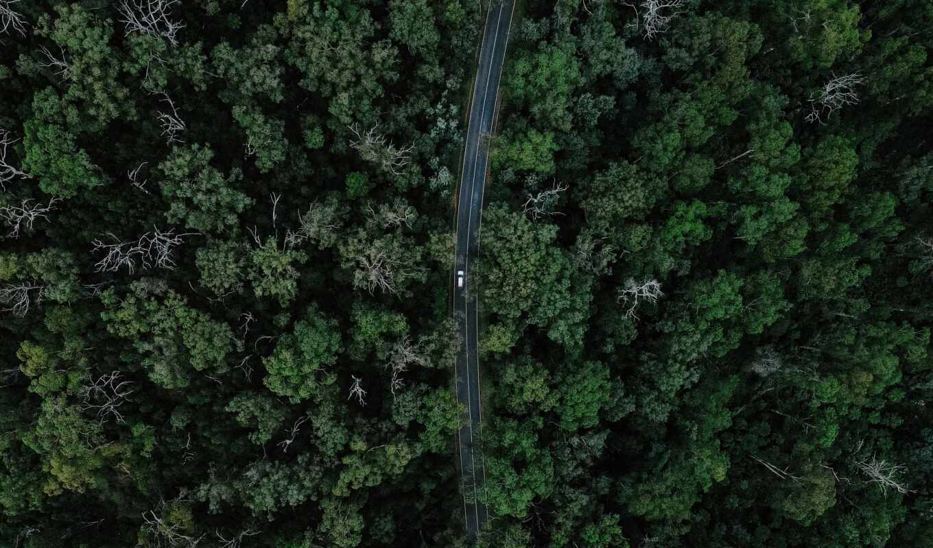 взгляд, car, aerial, fore