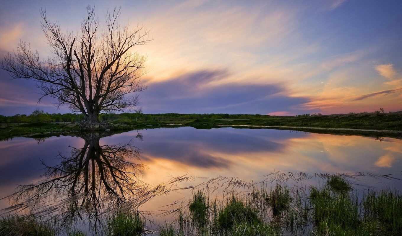 lake, sky, tree, grass, sunset, landscape, coast, reflection, nature