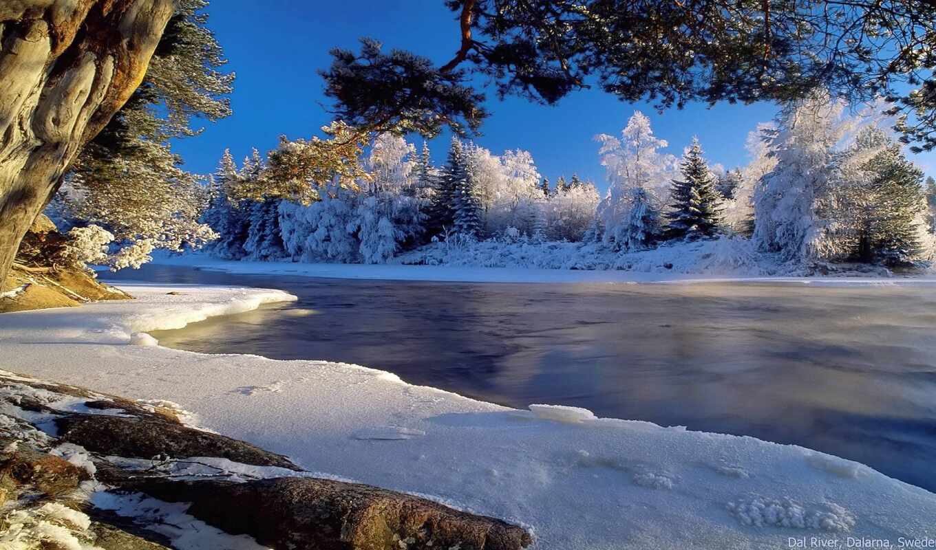 природа, winter, landscape