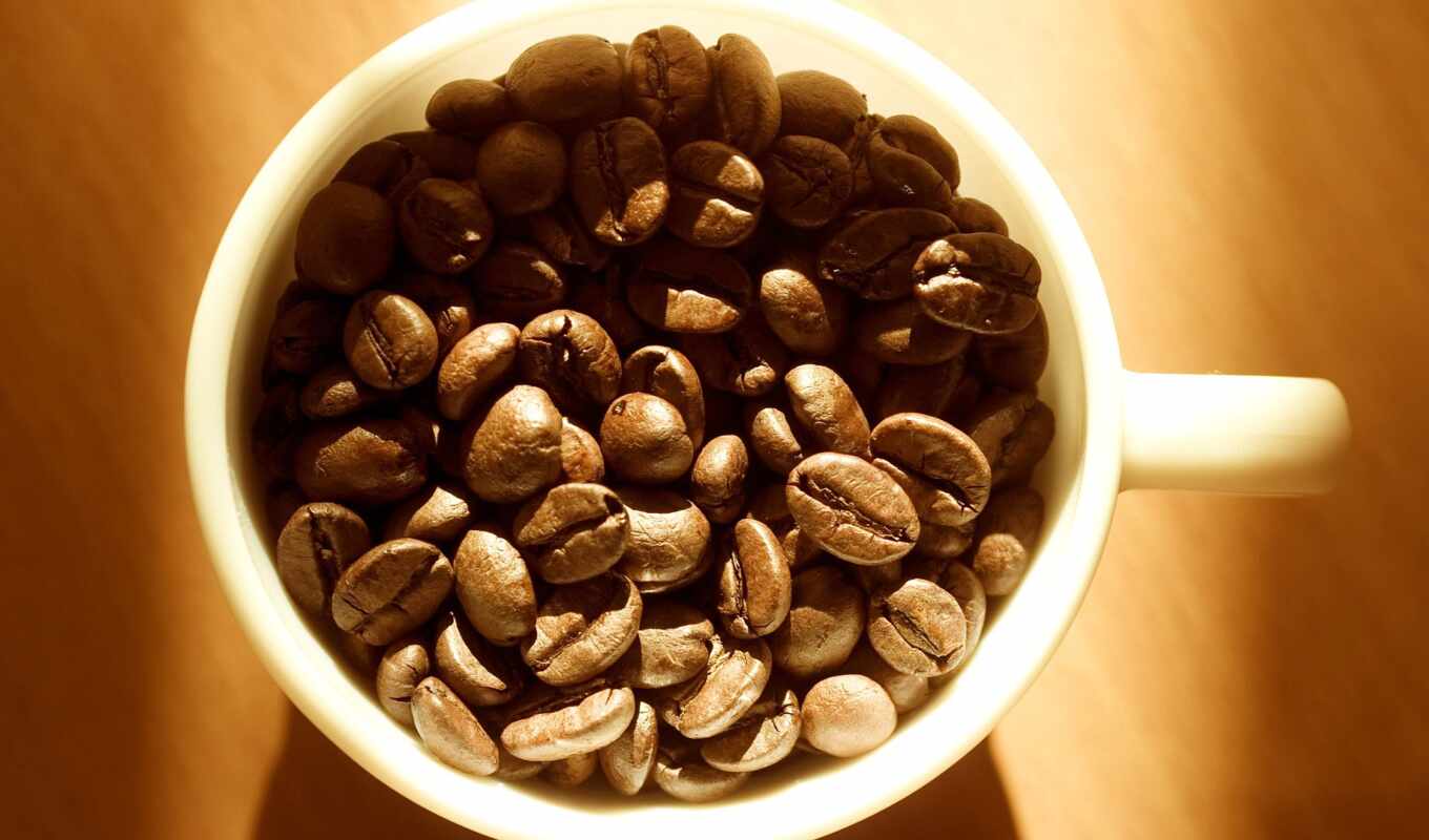 white, free, coffee, one, cup, seed, собрать, качественные, fonwall