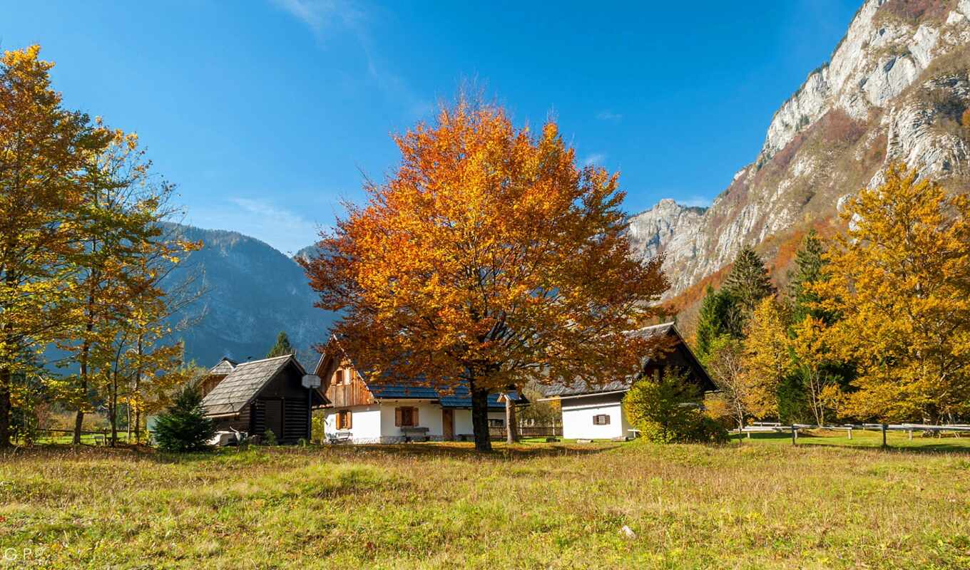 house, дерево, город, гора, осень, тег, slovenia, broadleaf