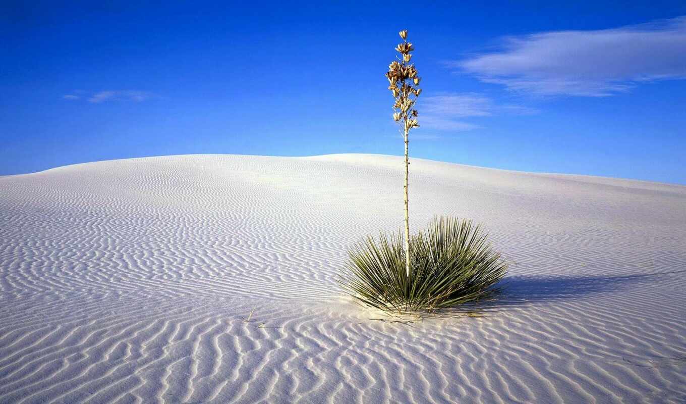 white, песок, пустыня, фарфор