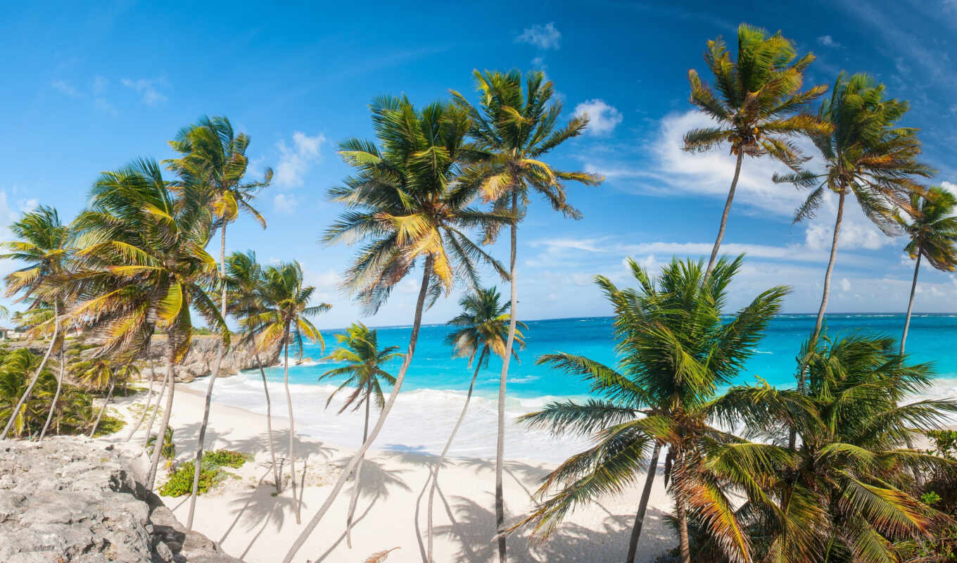sun, пляж, категории, побережье, palm, tropical, services, рай, vip, тропики