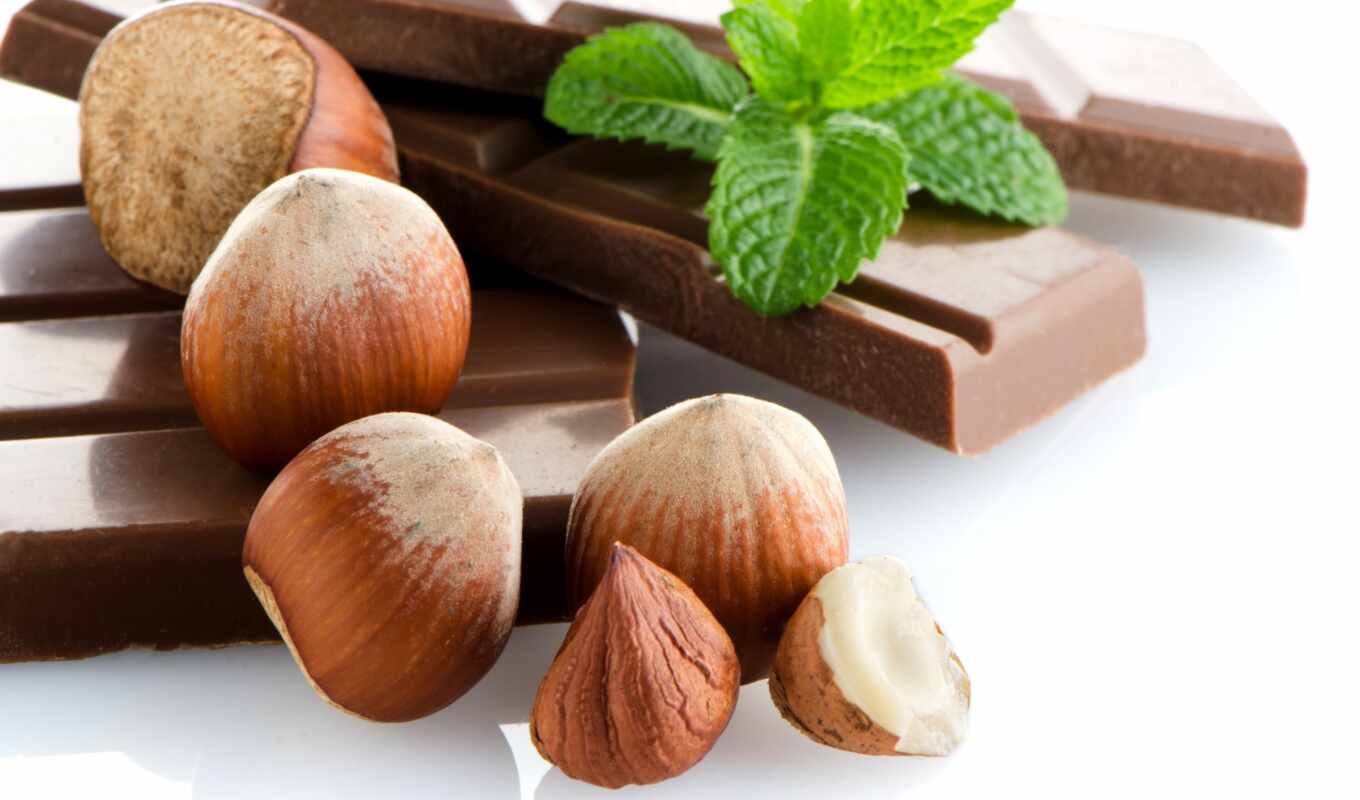 chestnut, chocolate, chocolate, trade, ikola