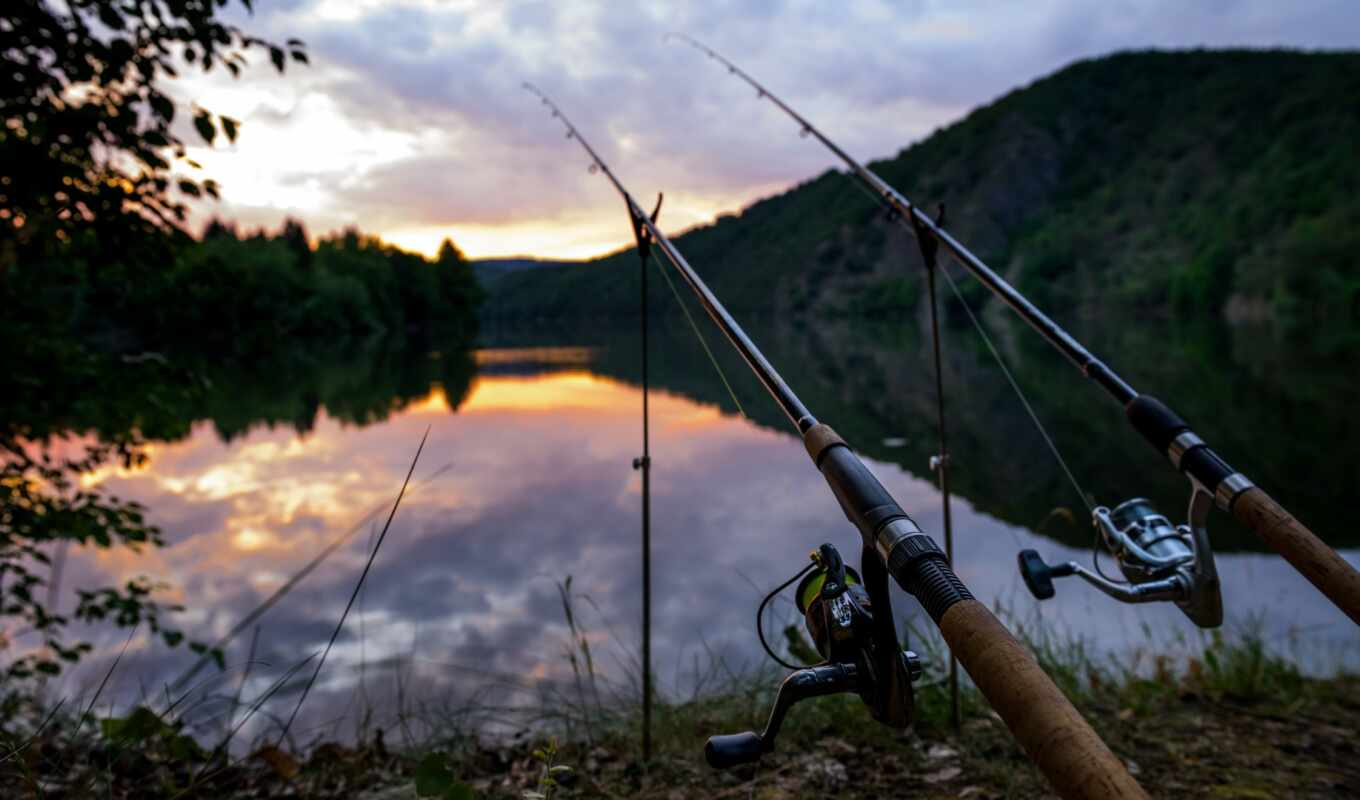 lake, fishing
