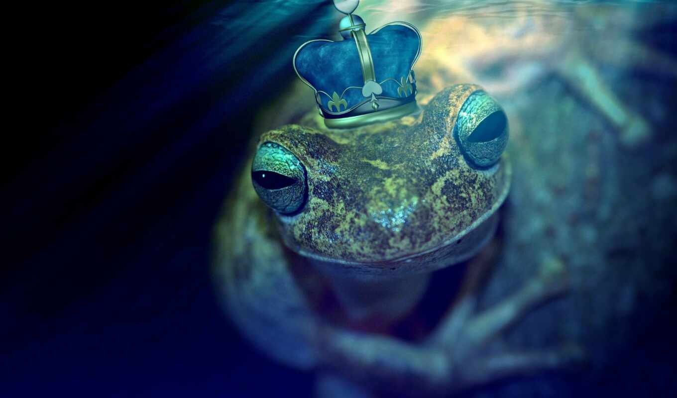 frog, prince