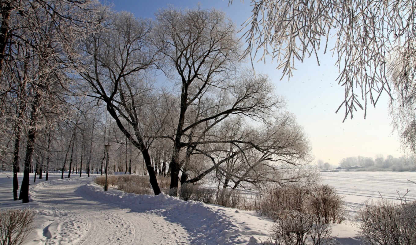 природа, пейзажи -, снег, winter, landscape, года, time, кошки, season, trees, природе