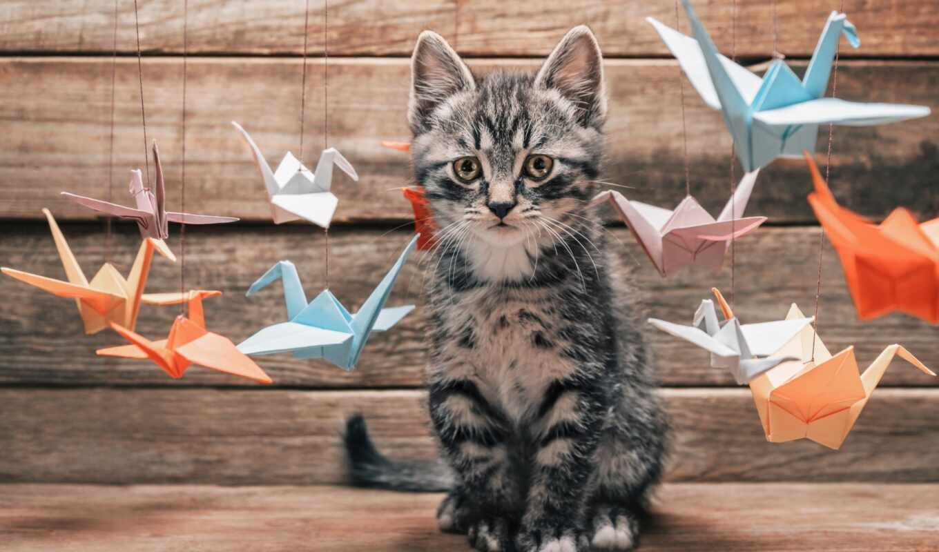 nature, cat, smooth surface, bird, kitty, animal, wooden, paper, origami, origa