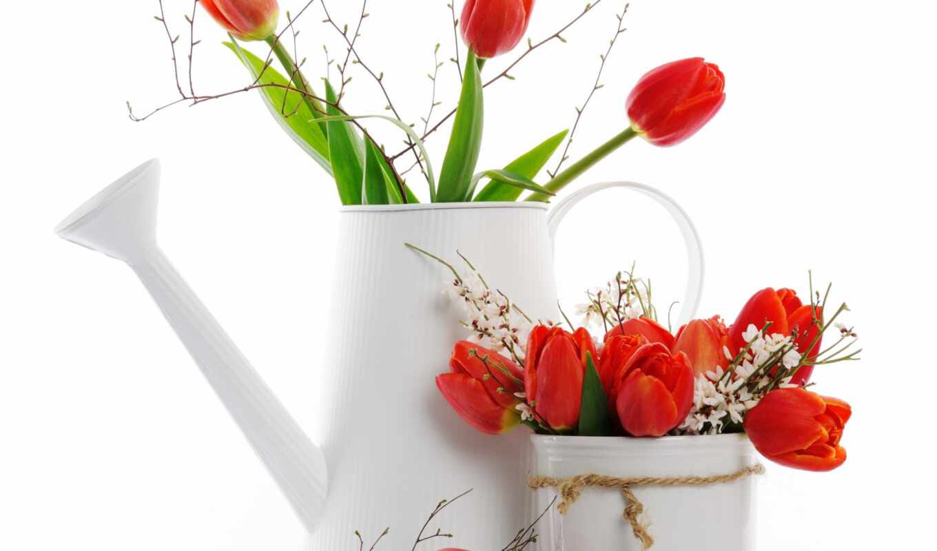 цветы, информация, букет, тюльпан, cvety