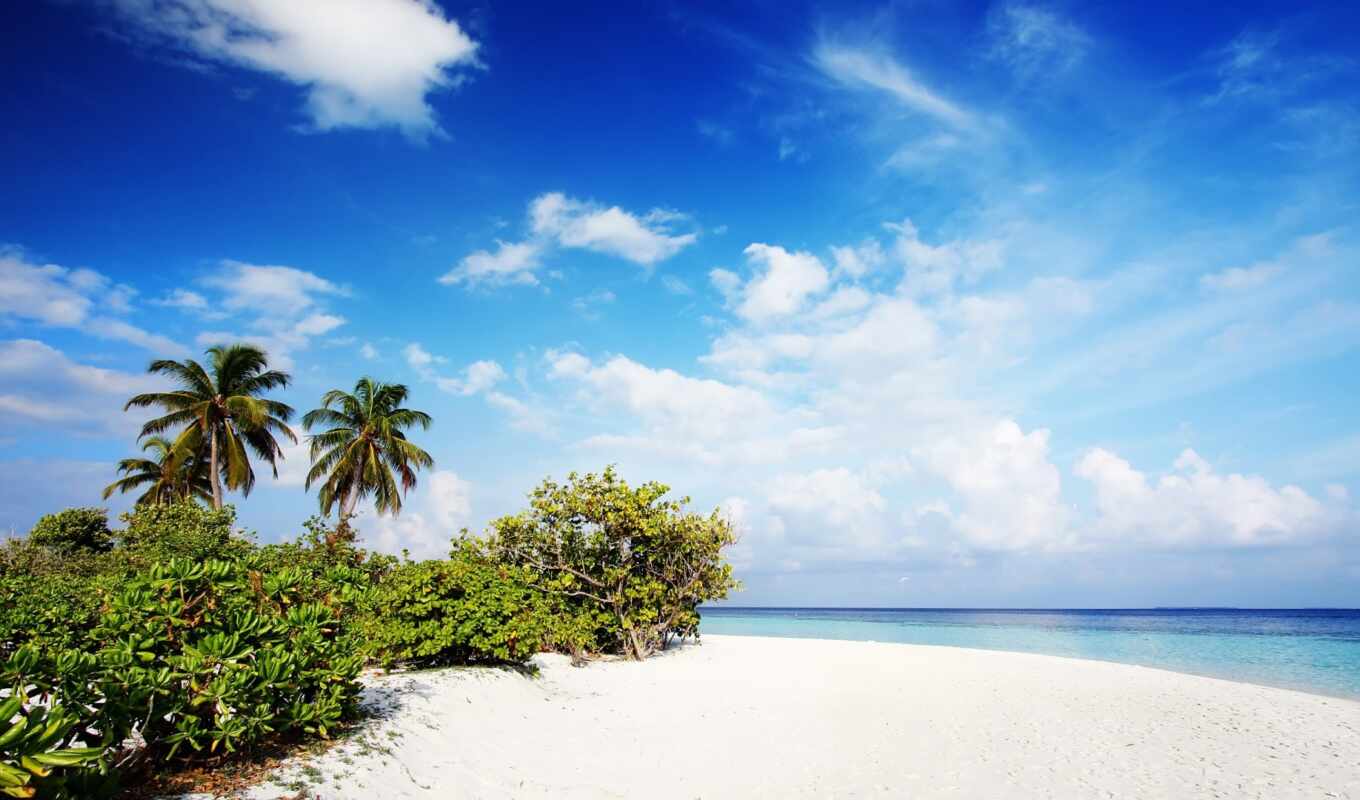 beach, maldives