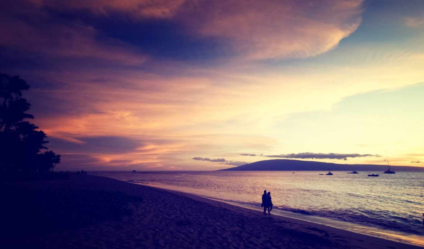 sun, sunset, beach, sea, palm, two, steam