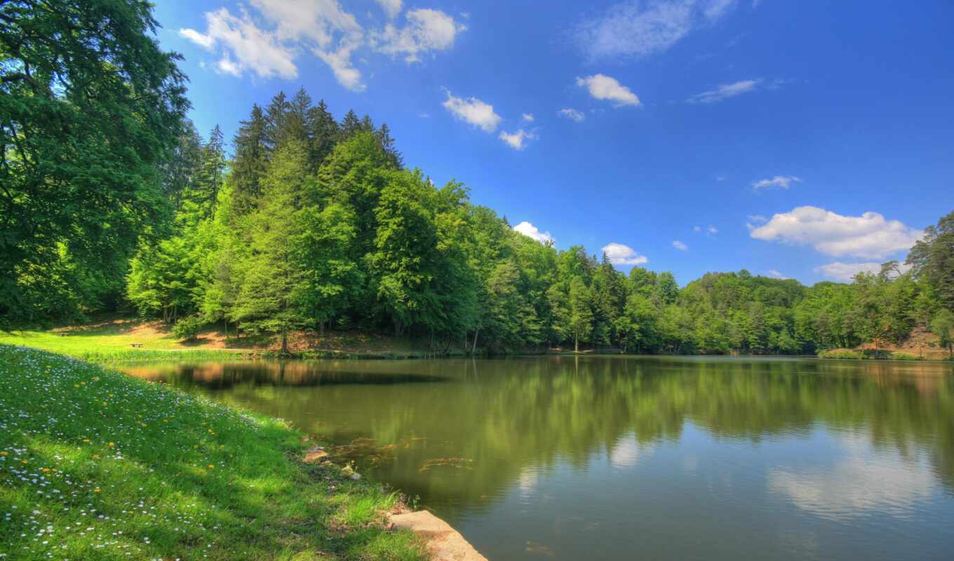 lake, nature, nature, Of Russia, forest