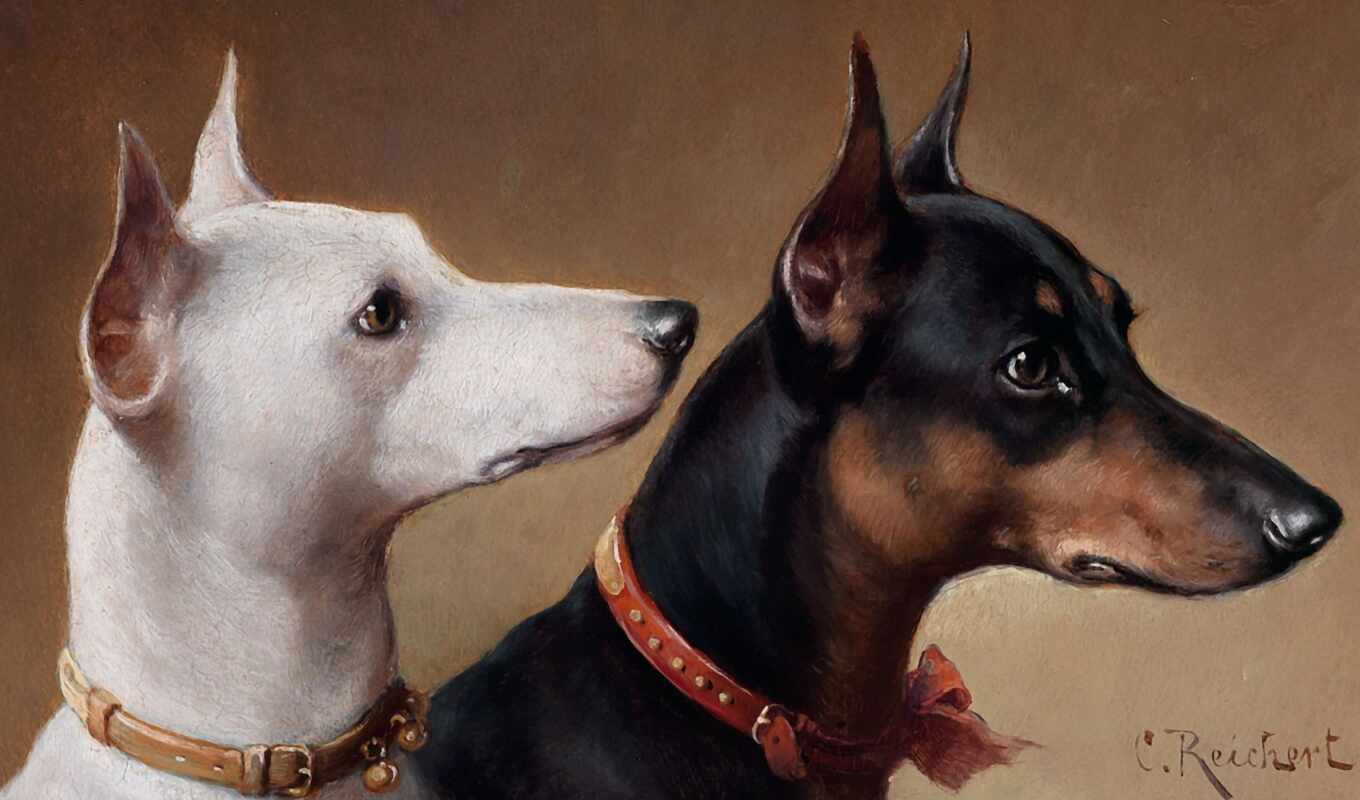 картинка, год, году, собаки, рисованные, artist, нам, zhivotnye, карл, reichert, вене