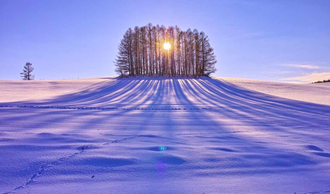 winter, nature, universal, yours, the sun, tree, photo, sky, snow, sibir, vlasov