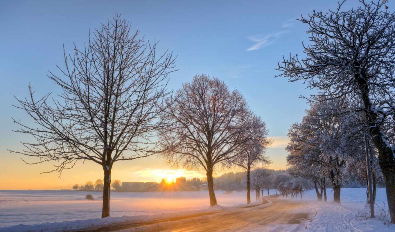 tree, snow, sunrise, winter, road, landscape, Germany, sunrise, nature, snow, background image