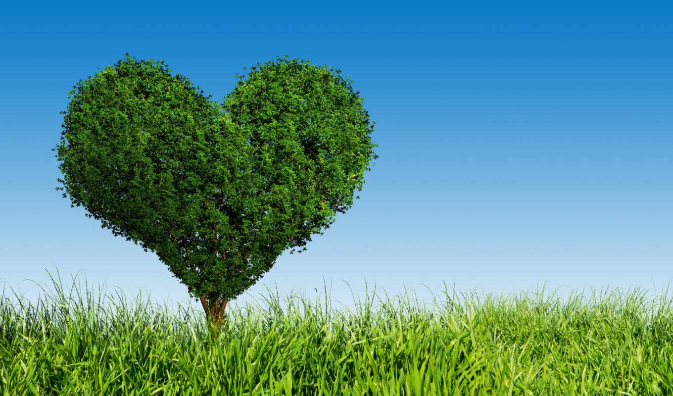 tree, grass, heart