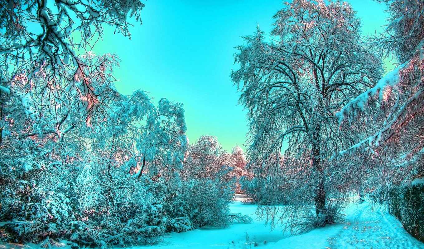 природа, красивые, winter, года, time, зимой