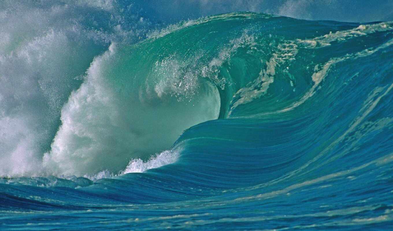 ocean, fact, волна, tsunami
