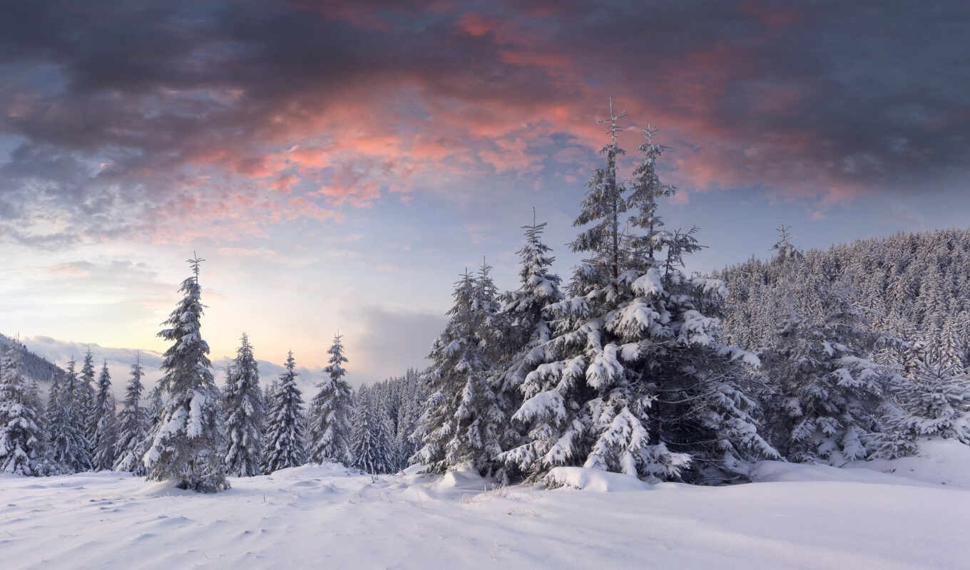 снег, рассвет, winter, лес, гора, облако, елка