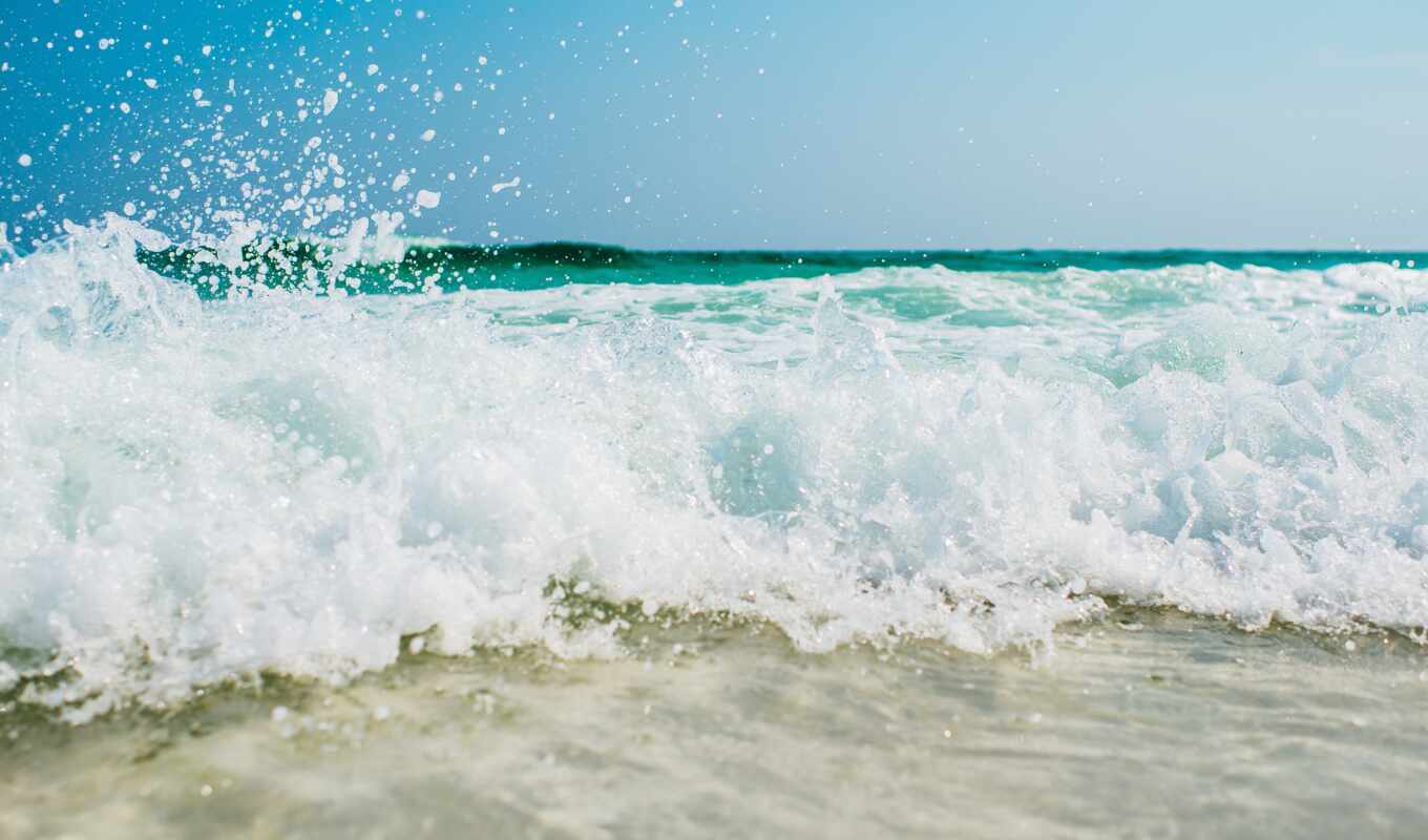 water, пляж, море, отдых, который, could, popular, специалист, крымский